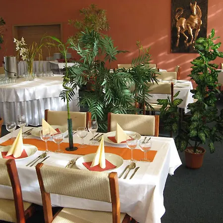 Hotel Plus Hotel 3*