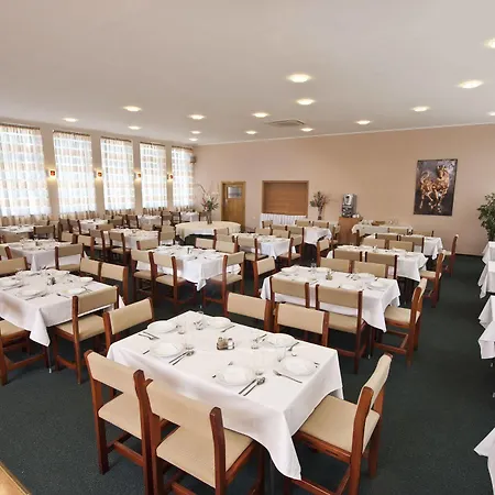 Hotel Hotel Plus